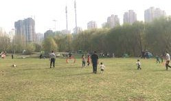 长白岛森林公园爆料视频,揭秘神秘自然奇观