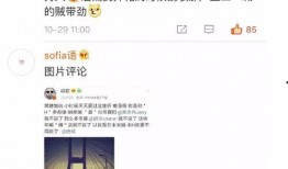 网友爆料胡歌视频是真的吗,网友爆料胡歌视频真实性揭秘