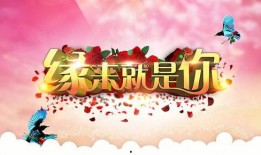 娱乐爆料节目背景图高清,揭秘娱乐爆料节目背景图背后的高清世界