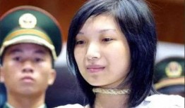 郑恺爆料静姐视频播放全集,一场视觉与情感的盛宴