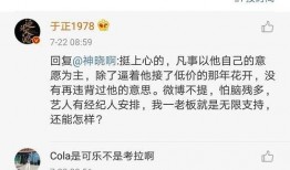 吃娱乐圈的瓜的文案,揭秘明星背后的故事与真相