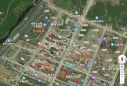 龙兴嘉苑爆料案件真相视频