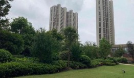 御景园业主爆料信息最新,揭秘小区最新动态与争议焦点