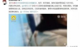 学生食堂事件爆料视频播放,揭秘校园食品安全问题