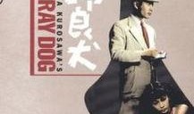 赌命鸳鸯 在线观看