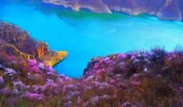 黄河三峡爆料事件视频全过程,视频全程揭秘惊人真相