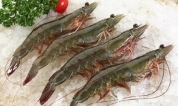 南美大虾爆料视频下载,视频爆料背后的产业真相