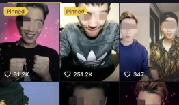 男网红被爆料视频大全集,真相与争议交织