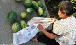 沛县吃瓜最新事件爆料,揭秘背后真相与争议