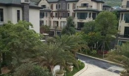 爆料热线眉山新闻最新,爆料热线最新爆料，揭秘惊人内幕！