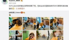 爆料赖冠霖女友视频,女友视频引发网友热议