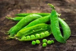 娱乐吃瓜又吃豆,吃瓜吃豆，揭秘娱乐圈幕后故事