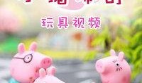 小猪玩具视频大全视频在线观看