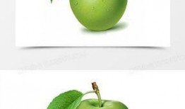 青苹果在线观看,青春校园的甜蜜旋律