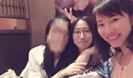 刘鑫最新爆料辟谣事件,揭秘辟谣背后的真相与争议