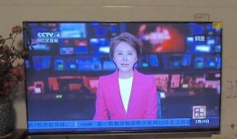 在线观看中央4套,在线观看不容错过