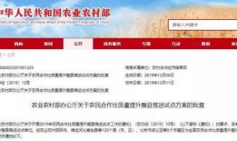 汝州热点爆料新闻视频最新,惊现神秘事件，真相即将揭晓！