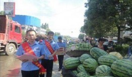 沛县吃瓜最新事件爆料,揭秘背后真相与争议