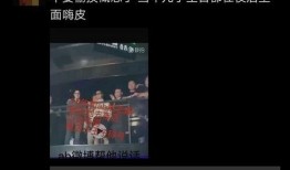 网友爆料蓝莓视频,网友爆料揭示神秘内容，引发热议