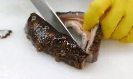 海参厨师爆料视频,海参烹饪背后的秘密与技巧