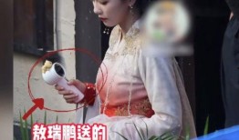 白鹿家世爆料视频,家世背景曝光，带你走进明星家族的传奇故事