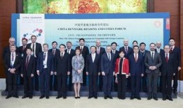 丹麦政府爆料视频,揭秘神秘视频背后的真相