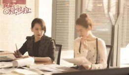 我是杜拉拉在线观看,职场女强人的奋斗历程