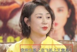 马丽爆料大爷视频大全最新,揭秘背后真相与网络舆论