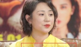 马丽爆料大爷视频大全最新,揭秘背后真相与网络舆论