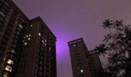 石家庄新楼爆料事件视频,视频揭露惊人真相，引发社会关注