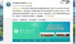 高招爆料最新消息,热门专业录取分数线及热门院校招生政策大揭秘！”