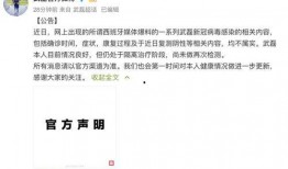 外媒爆料武契奇了吗视频,外媒爆料揭示神秘内容