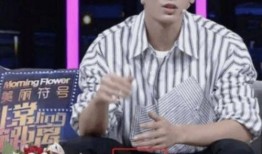 王岳的历史爆料视频,探寻历史真相的深度解读