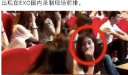 韩国私生饭娱乐圈爆料,私生饭爆料背后的惊人真相