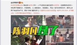 李宝敏最新爆料新闻视频,揭秘事件背后惊人真相