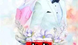 主播七夕爆料娱乐圈小说,娱乐圈小说背后的真实故事