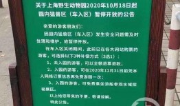 上游新闻爆料微信号,上游新闻爆料微信号揭露最新热点事件