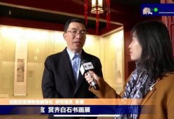 故宫院长爆料新闻视频下载,新闻视频背后的精彩瞬间