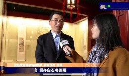 故宫院长爆料新闻视频下载,新闻视频背后的精彩瞬间