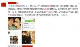 陈思诚最新爆料视频下载,娱乐圈幕后真相大曝光！