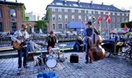 丹麦政府爆料视频,揭秘神秘视频背后的真相