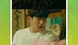 爆料丑照视频大全集下载,爆料视频大全集下载全解析