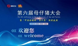 猪瘟最新爆料新闻联播,猪瘟疫情进展及防控措施详解