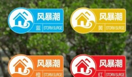 博德风彩爆料最新消息视频,揭秘视频背后的惊人真相！