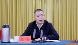 王岳的历史爆料视频,探寻历史真相的深度解读