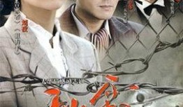 秋霜视频在线观看,穿越时空的浪漫邂逅