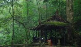 青城山老易养最新爆料,揭秘养生秘境的神秘面纱