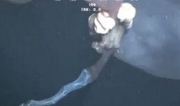 妖怪最新爆料视频大全在线观看,神秘世界一网打尽