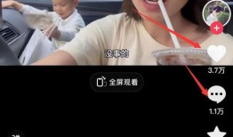 重庆燕子爆料视频大全集,揭秘城市生活百态