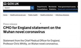 英国病毒爆料最新消息,揭秘变异病毒传播与应对策略